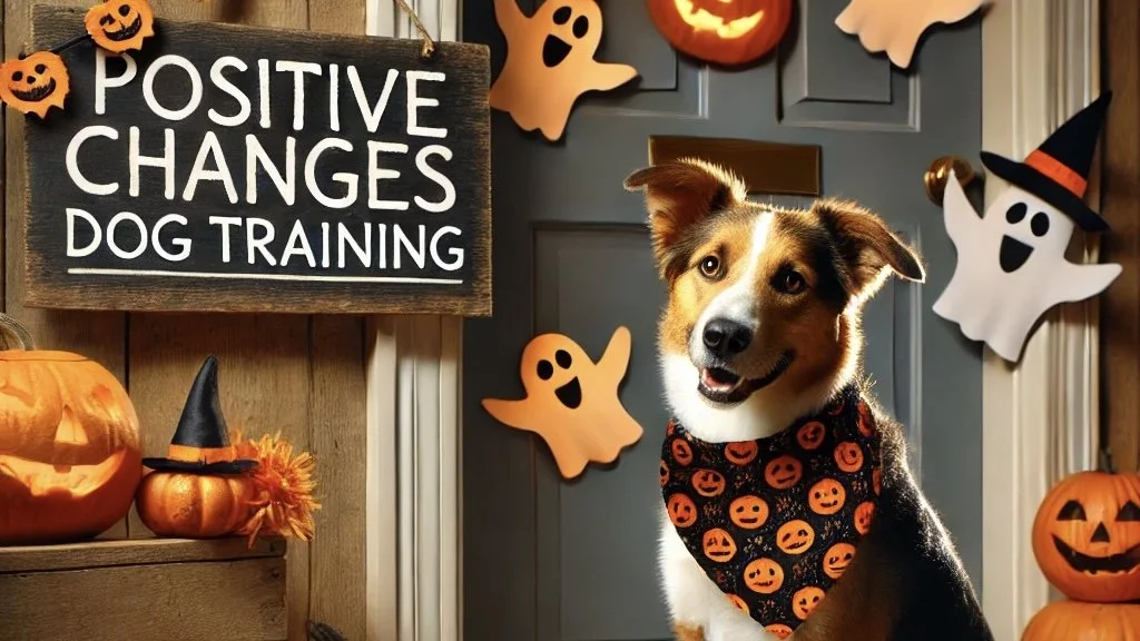 Why Candy and Canines Don’t Mix!