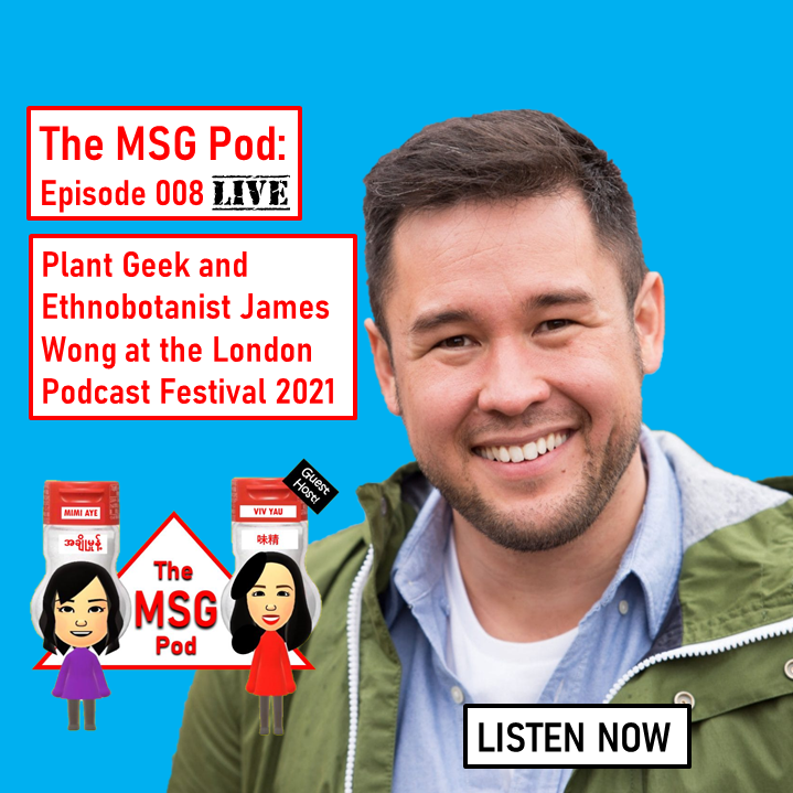 The MSG Pod: Episode 008 - James Wong - London Podcast Festival LIVE