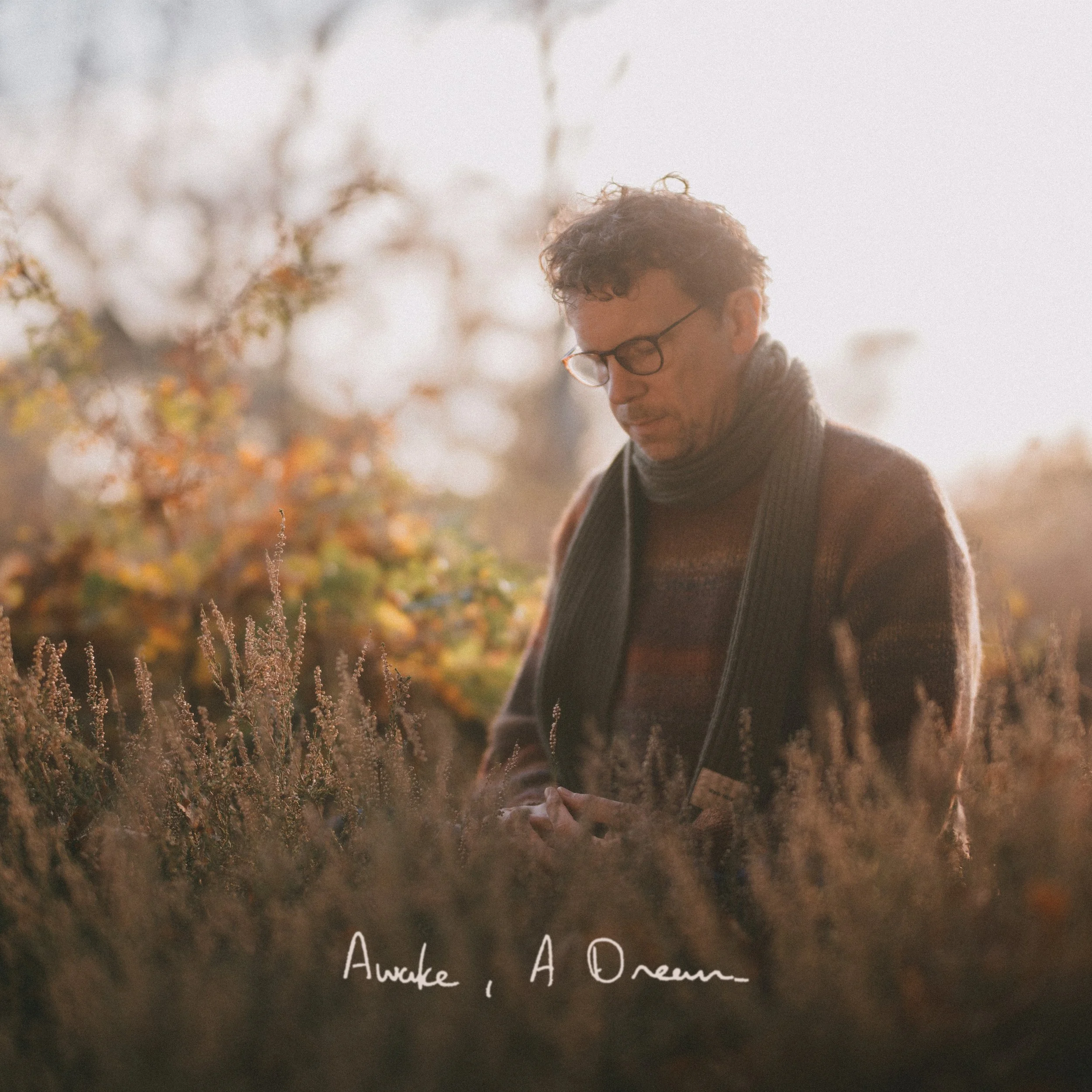Adam Scrimshire, sat in a green scarf and wooly jumper in colours of dark orange, reds, autumnal yellows and browns, in a field of heathers, looking down on a single branch of heather in his hand. The sun is setting in the top right corner
