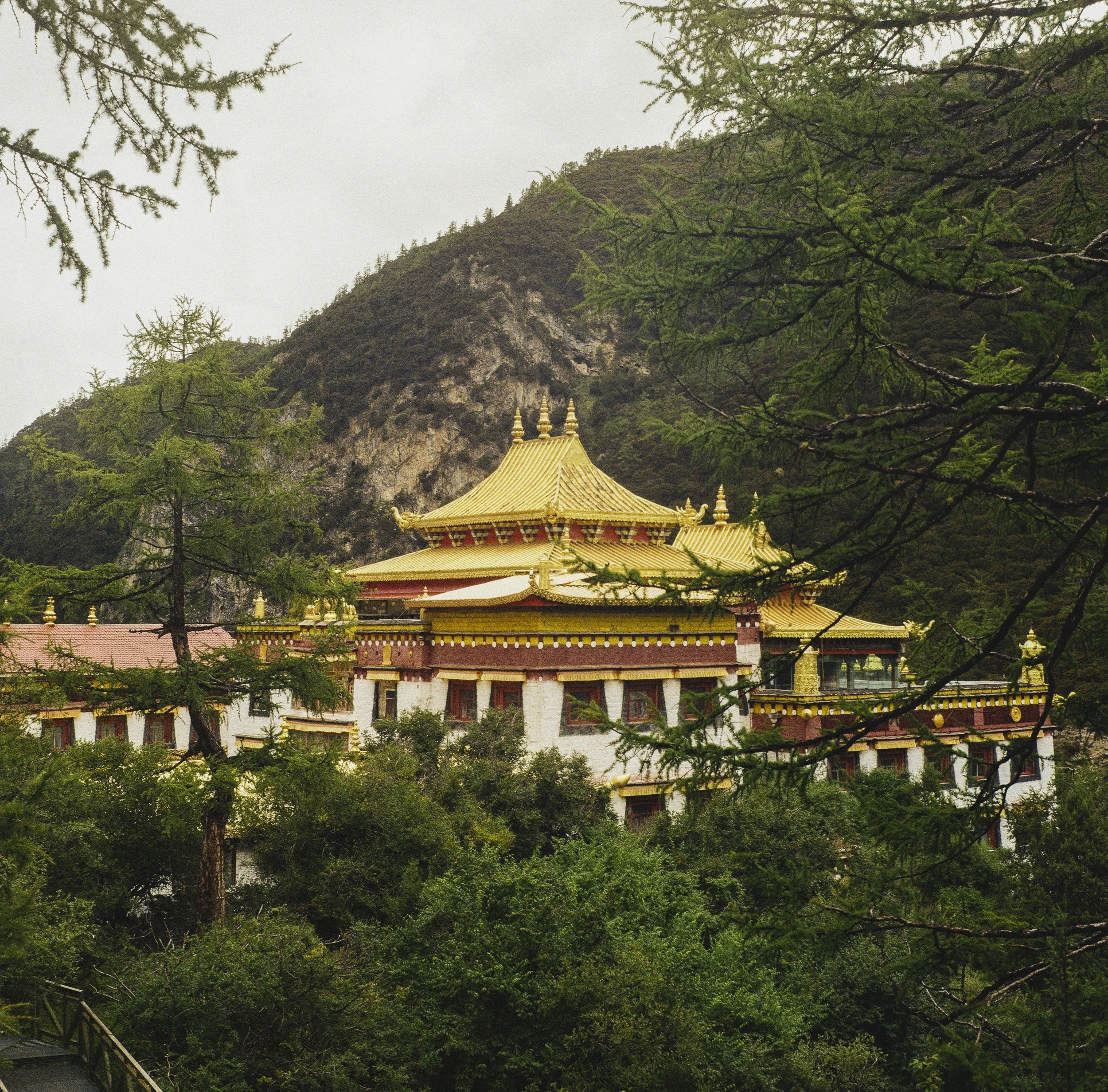 Daocheng-Yading, Tibet/China 2026 (Film)