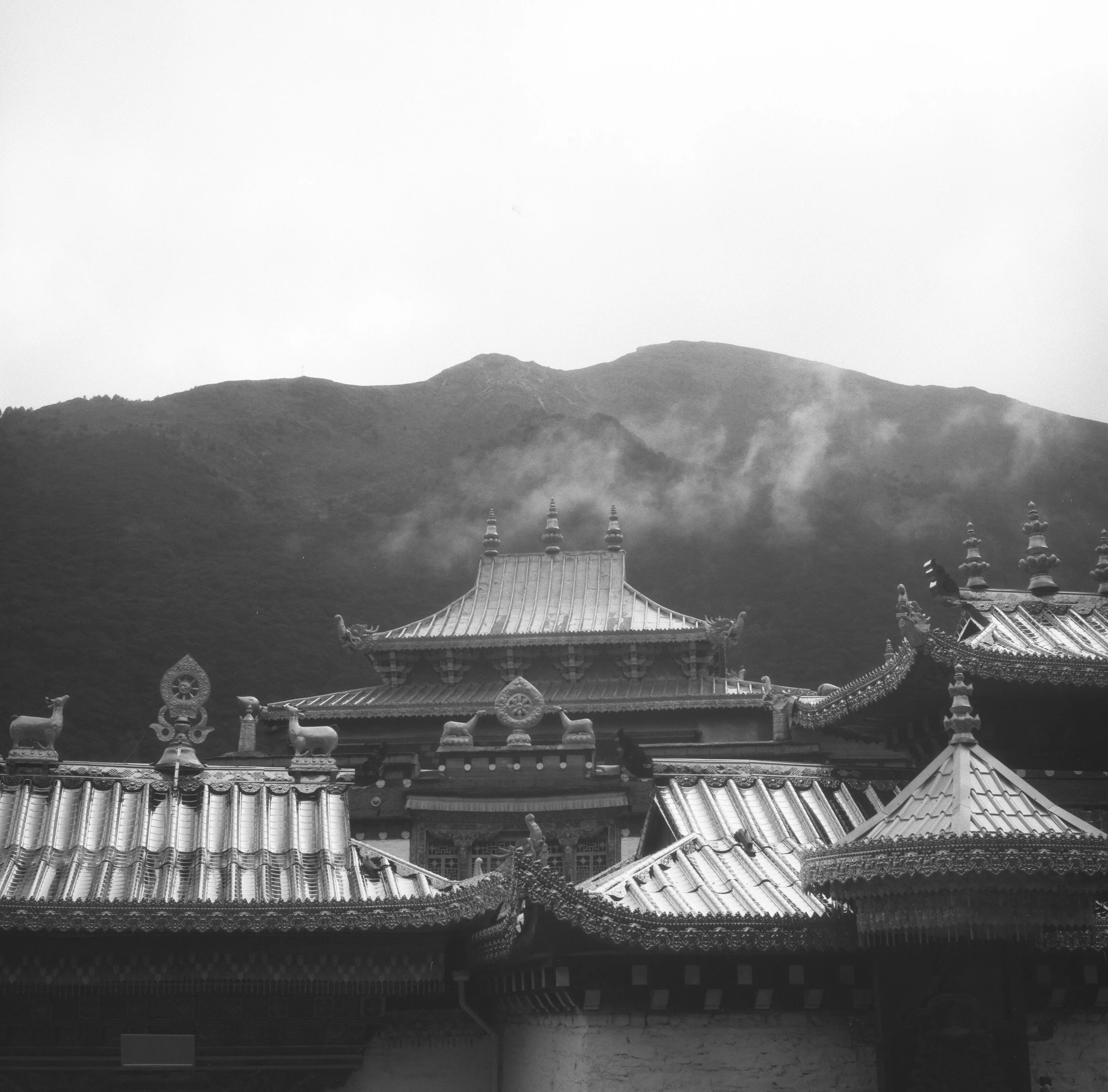 Daocheng-Yading, Tibet/China 2026 (Film)