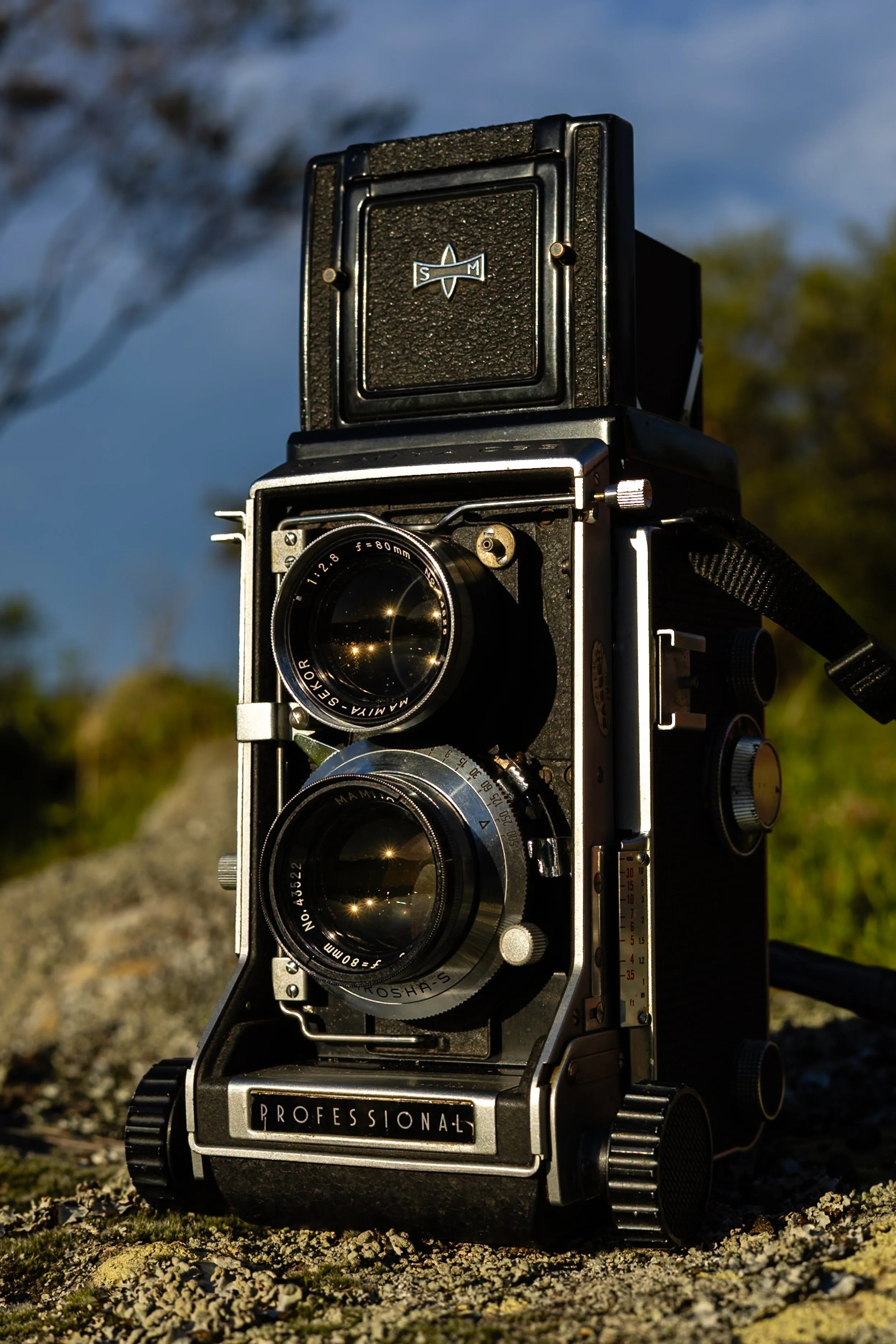 mamiya-1.jpg