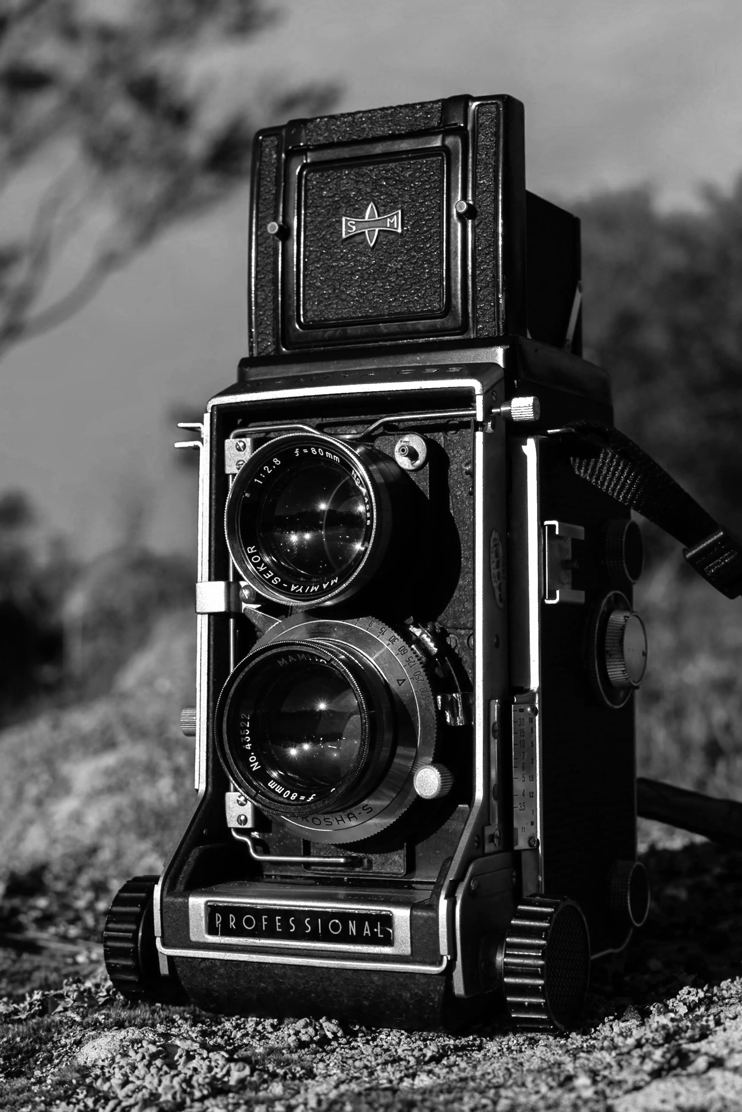 mamiya-1.jpg