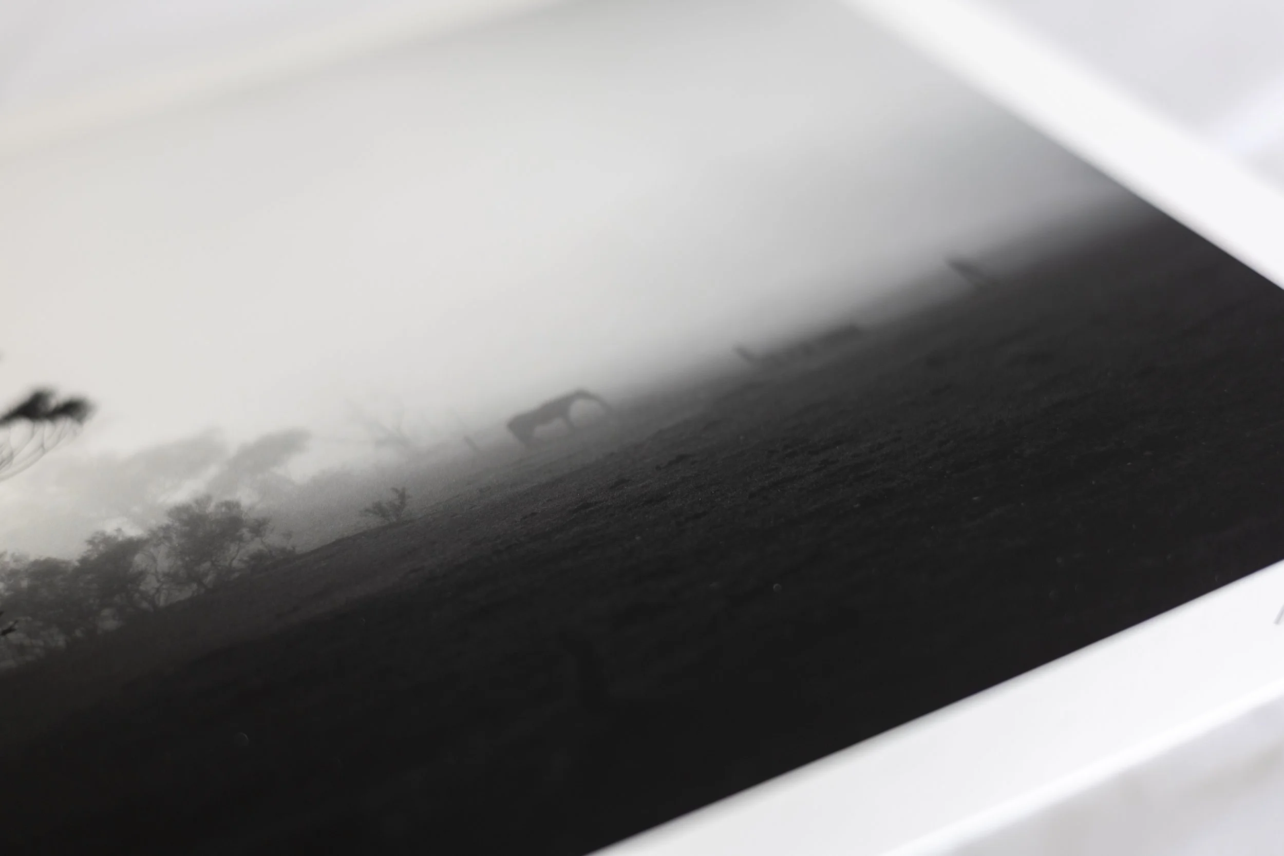 prints-2-2.jpg