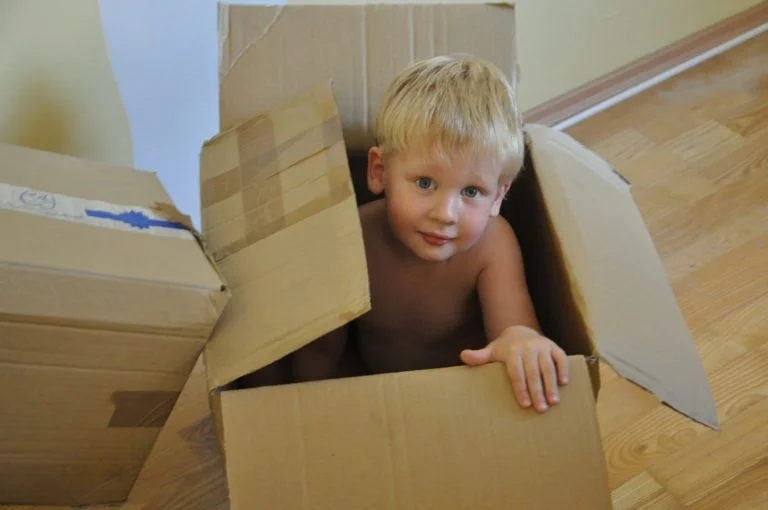 Comprehensive Guide to Moving with Kids