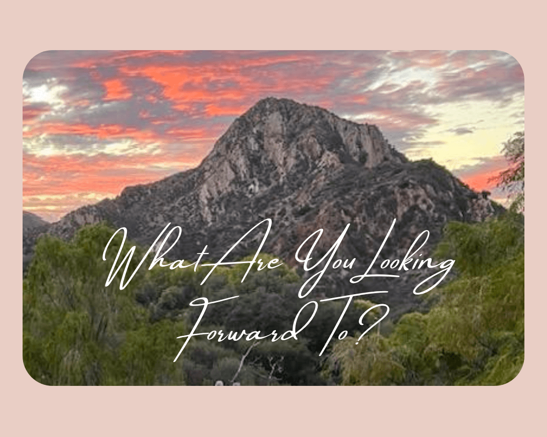 What Are You Looking Forward To?