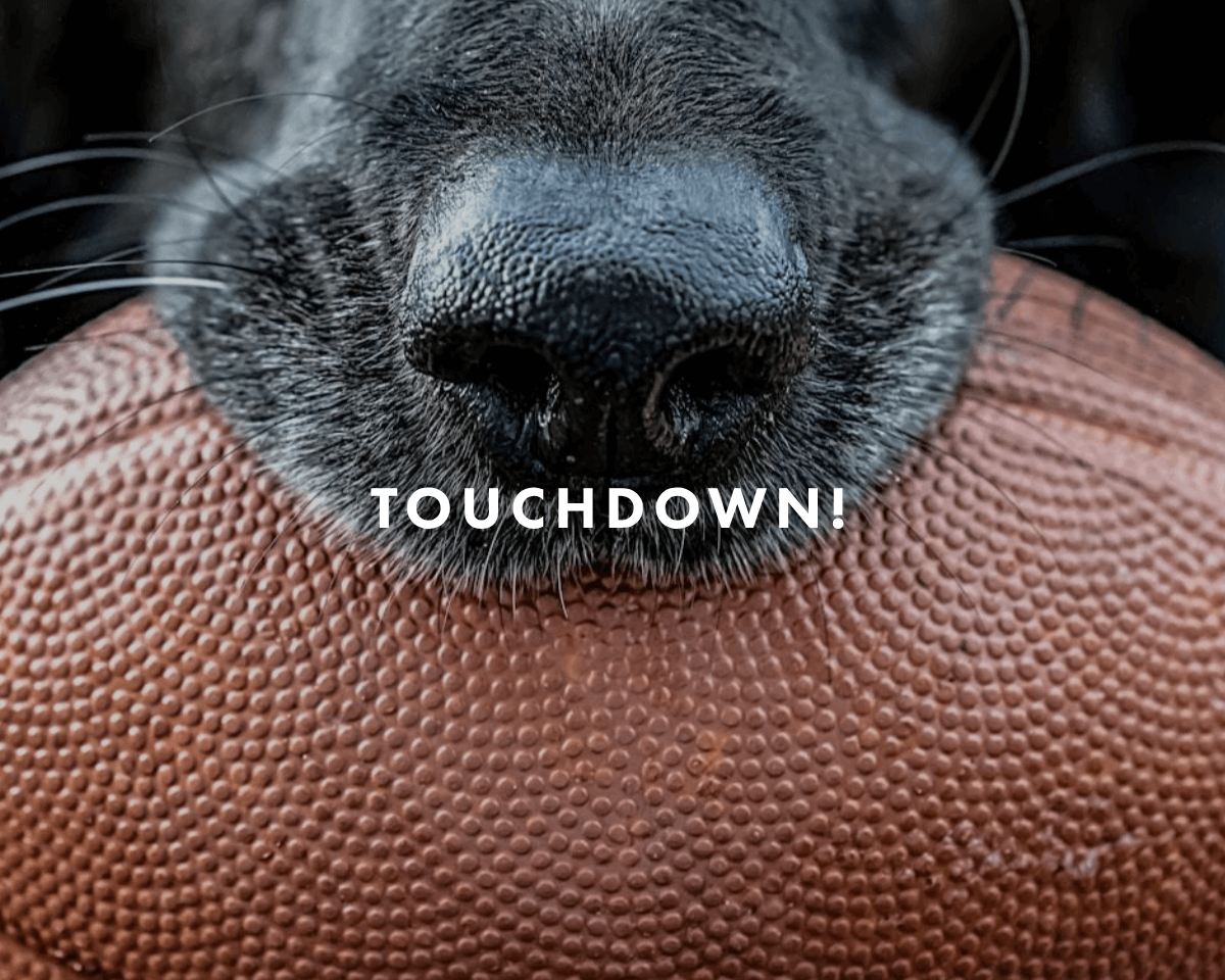 February Fun: Game Day Connections