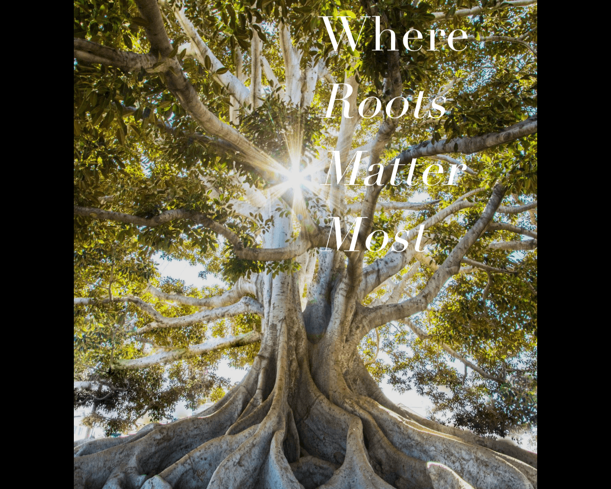 Where Roots Matter Most