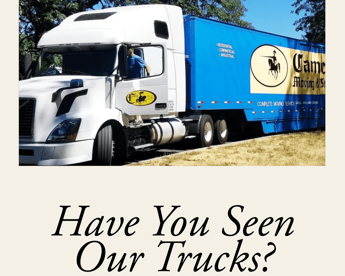 Have You Seen Our Trucks?