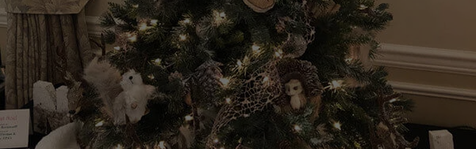 holiday-storage-banner.png