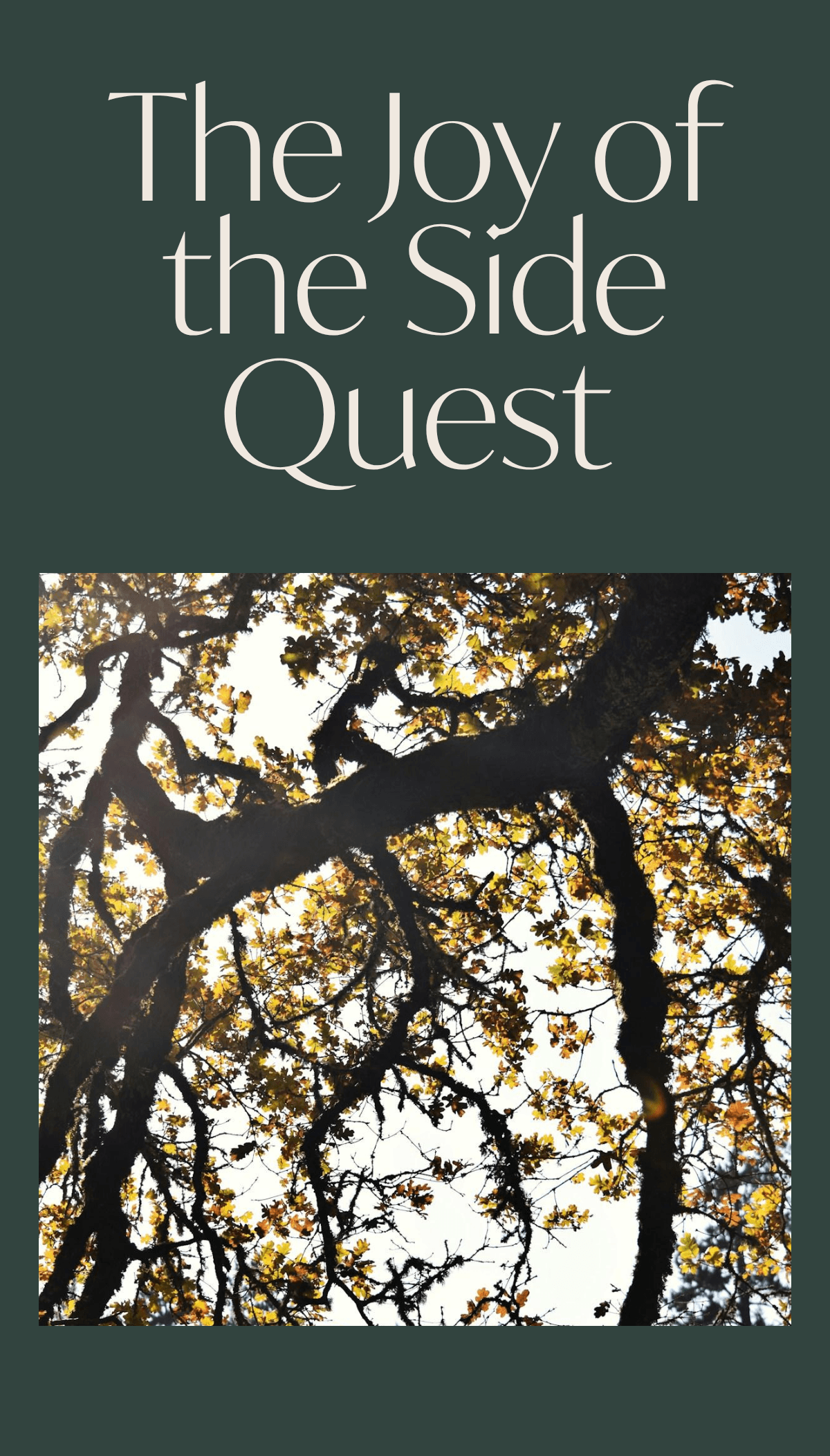 Title card with image of sun shining through an oak tree