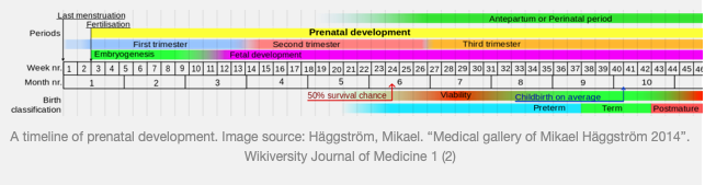 Screen Shot 2019-09-23 at 1.20.26 pm.png