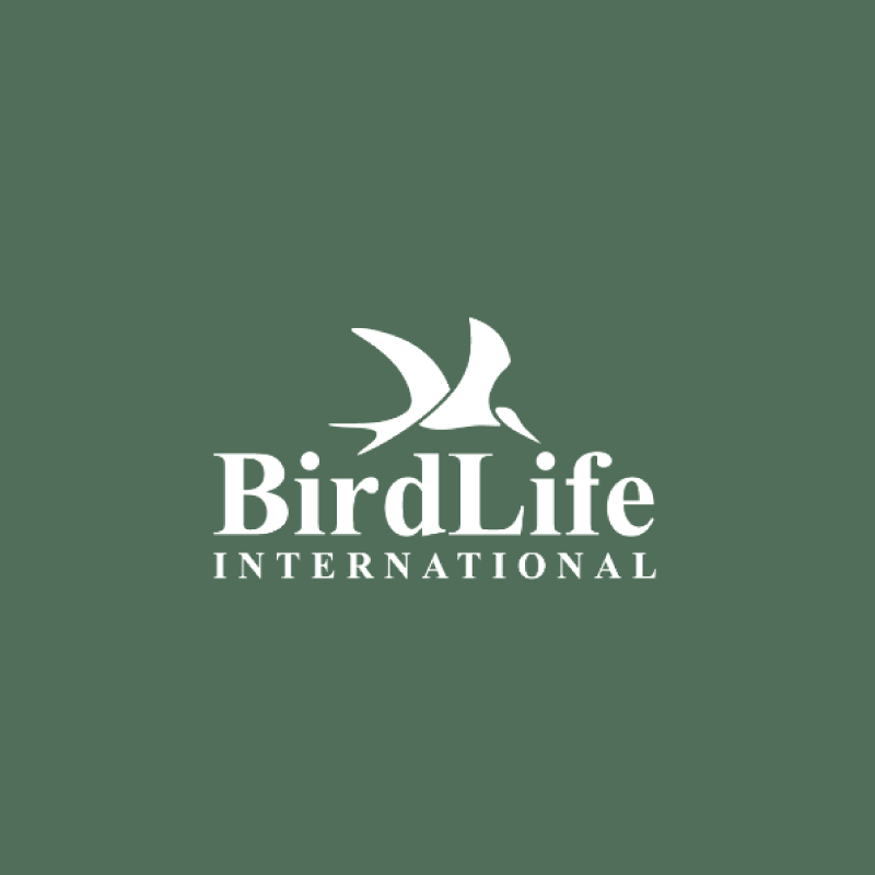 BL_logo.png