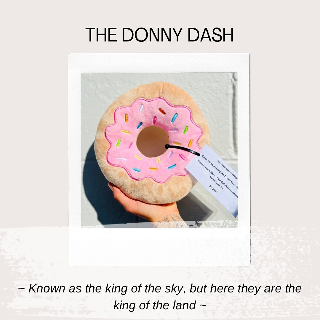 🍩 Donny Dash Clue Time🕵️&zwj;♀️
&bull;
~ known as the king of the sky, but here they are the king of the land ~ 
&bull;
Location: 4223
&bull;
#fueldonnydash FIND DONNY 🔎🍩😜