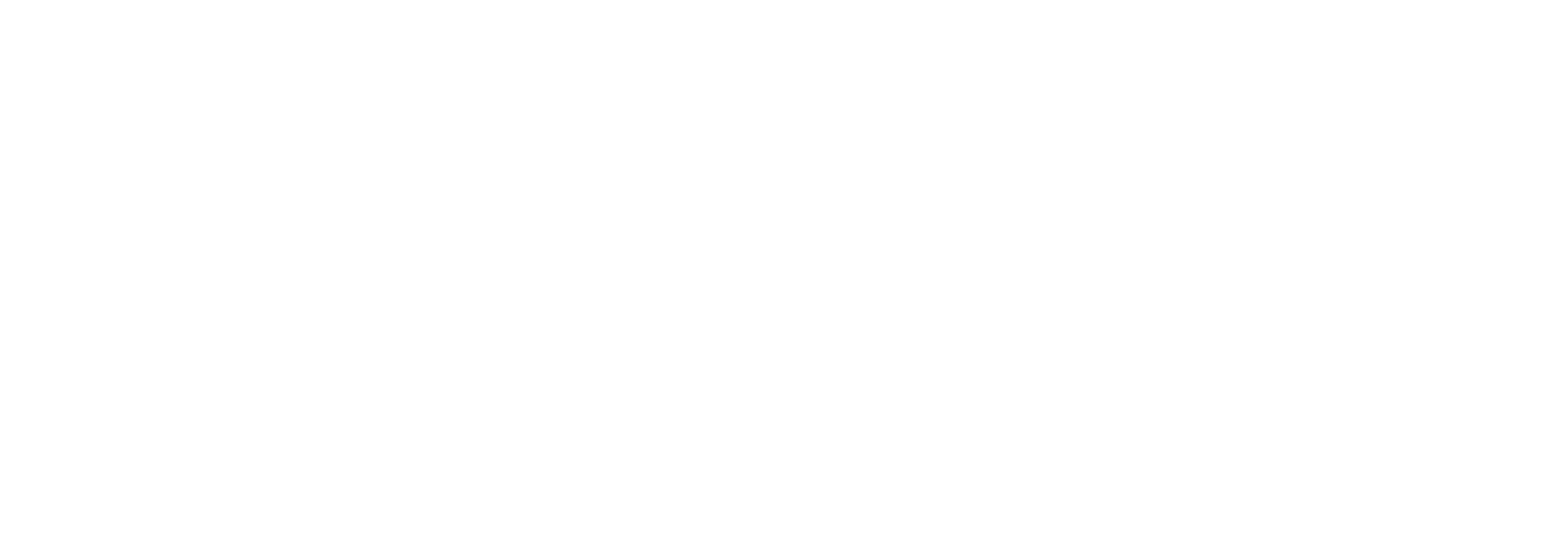 NZ Police