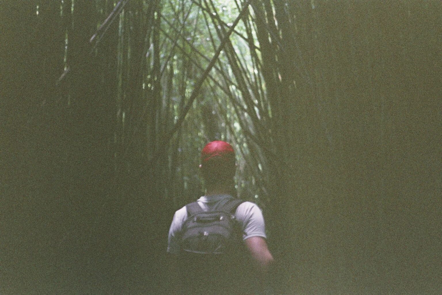 7562_04A.jpg