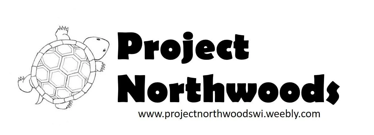 The Northwoods of Wisconsin are filled with interesting habitats and abundant flora and fauna. However, to date little research as been done in the area. Project Northwoods aims to conserve this important ecosystem through education, research and gl…