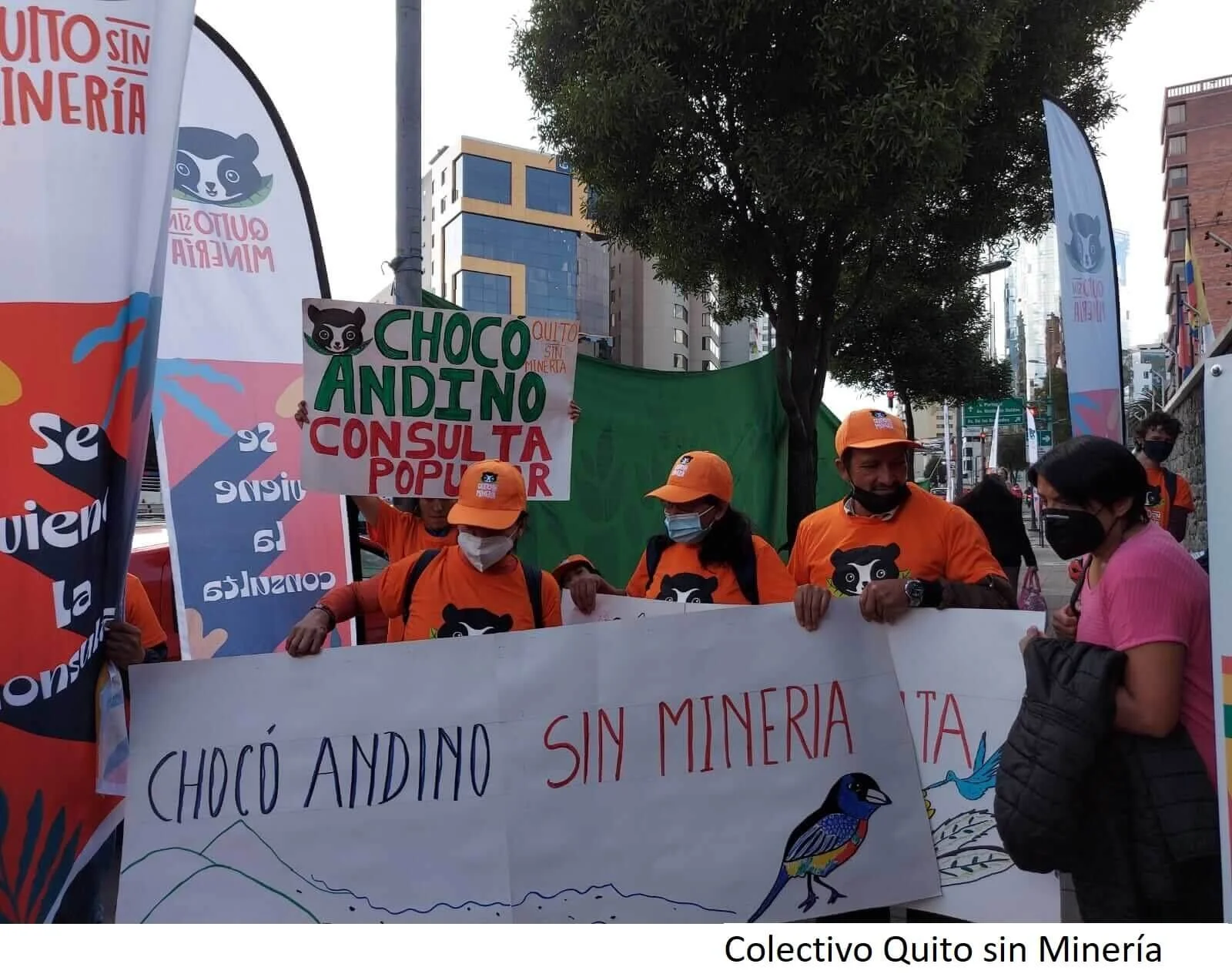 Ecuadorians set a precedent for participatory governance in environmental matters.