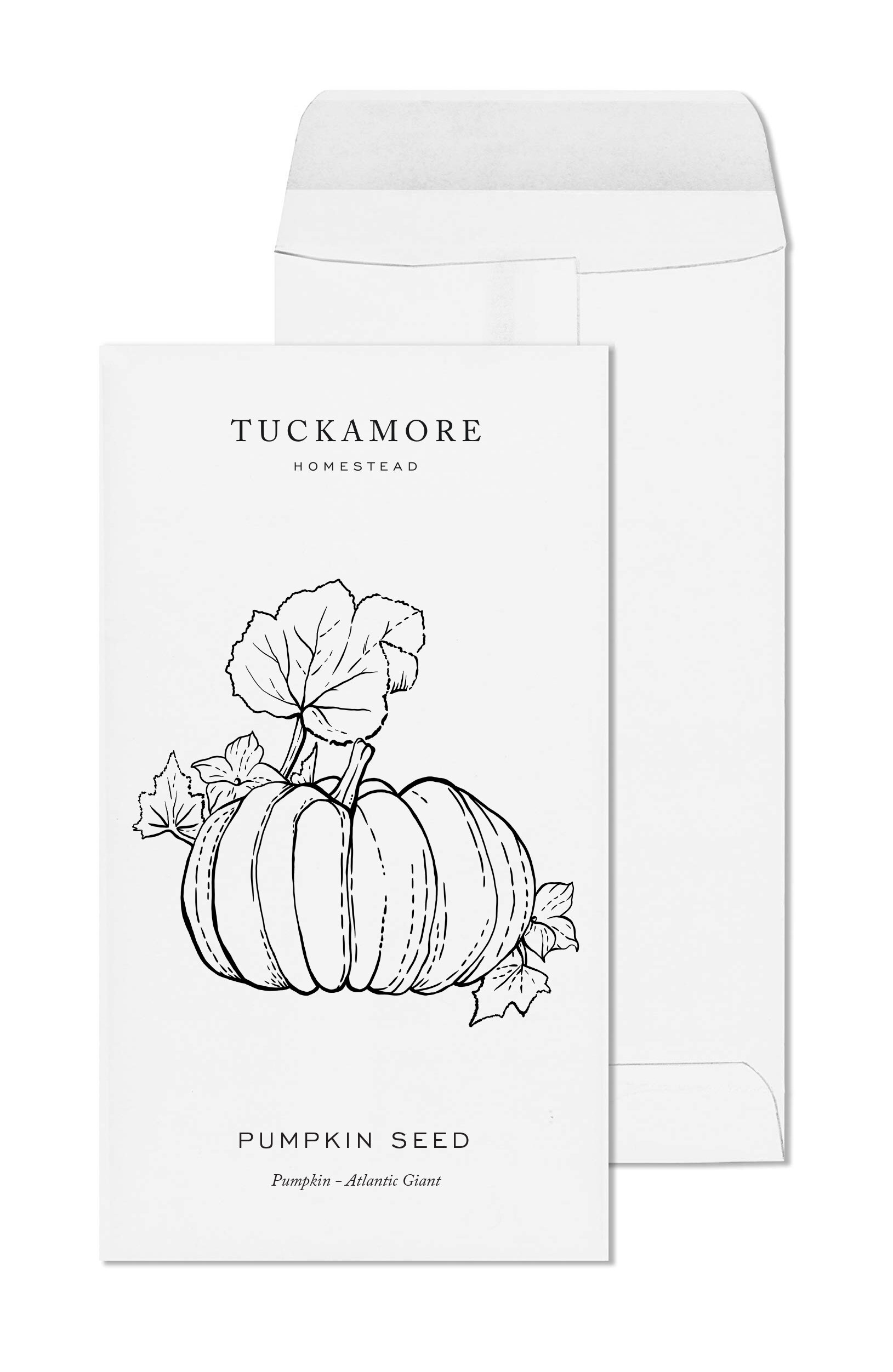 Tuckamore-Pumpkin-Stamp-Proof-2.jpg