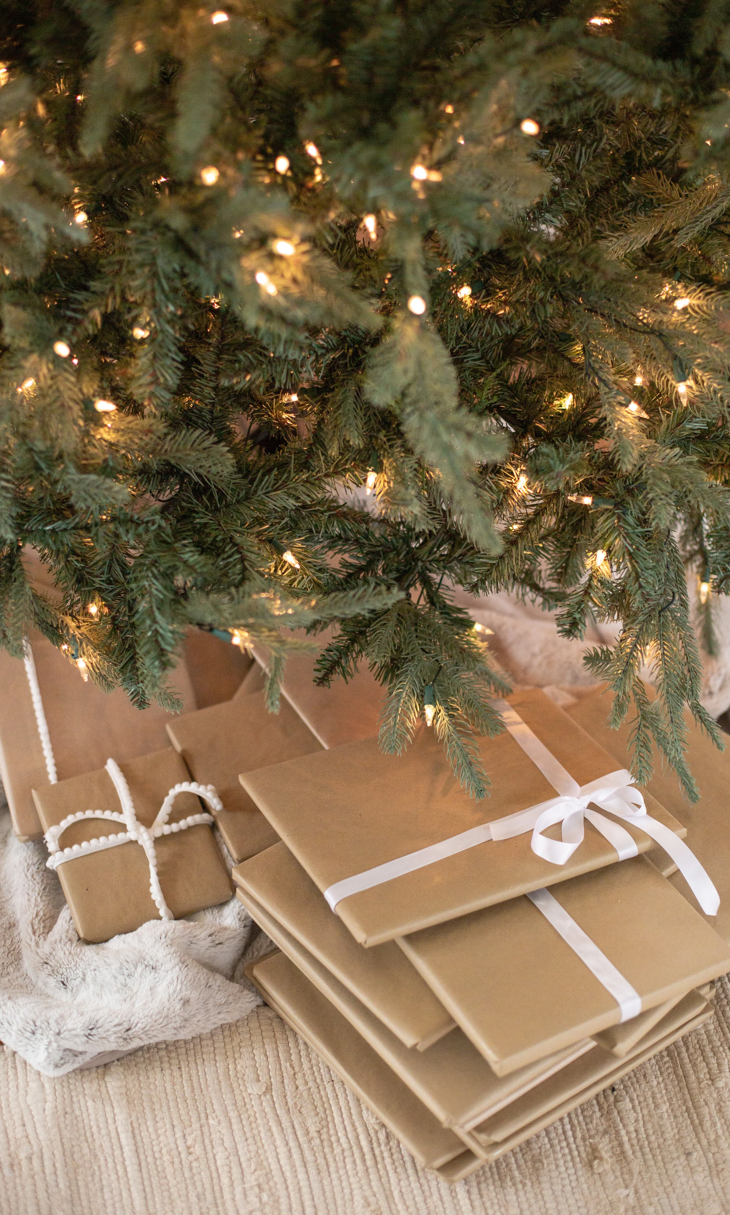 Christmas Book Advent