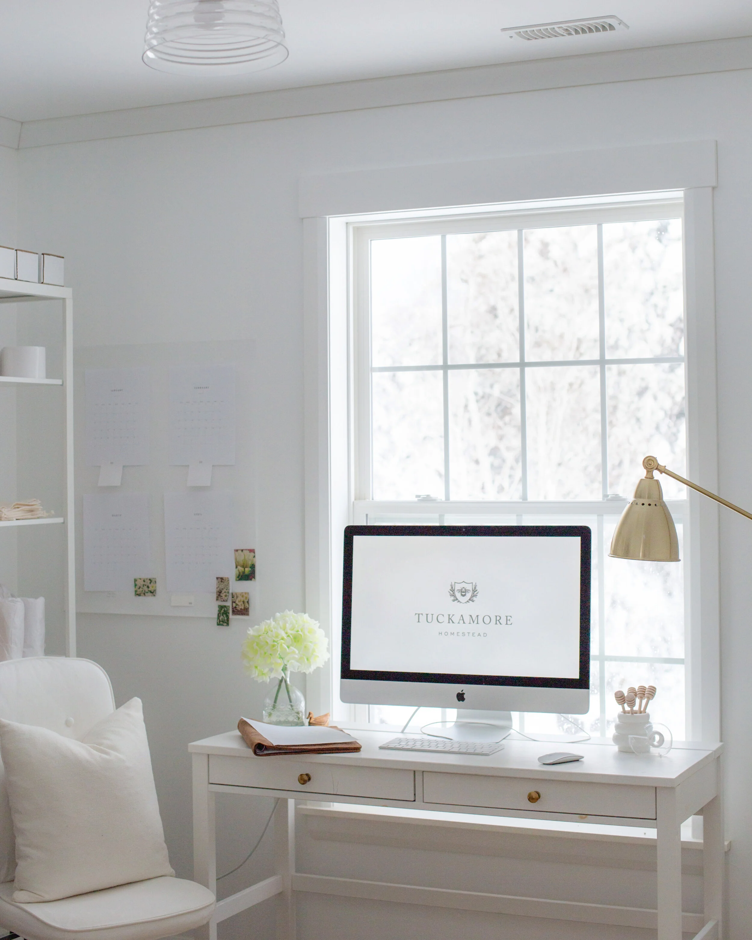 How to Start Your First Garden: 2 Easy things to do now in January for your 2021 spring garden