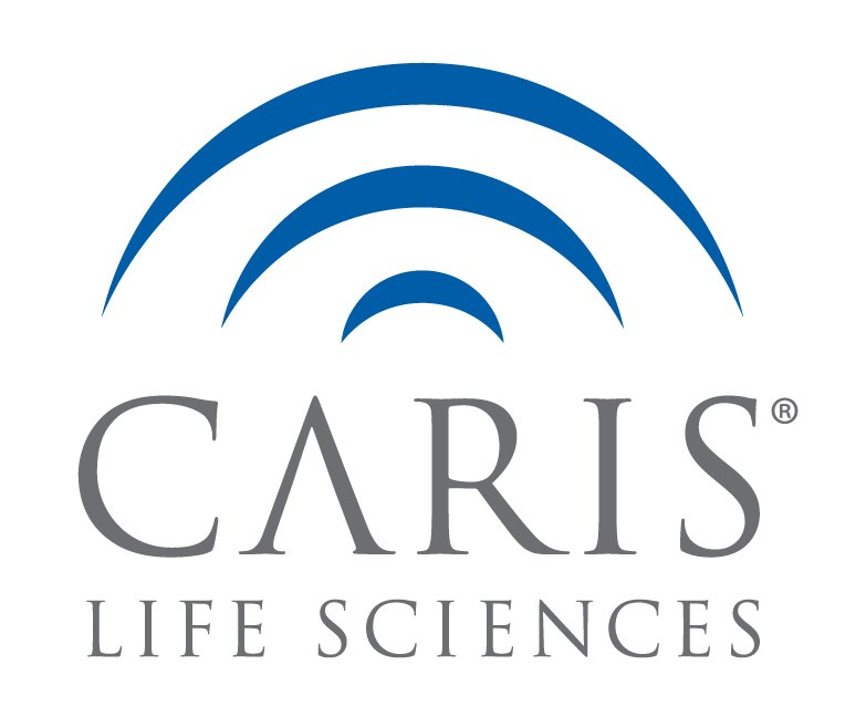 CarisLS_Color_Primary_Logo.jpg