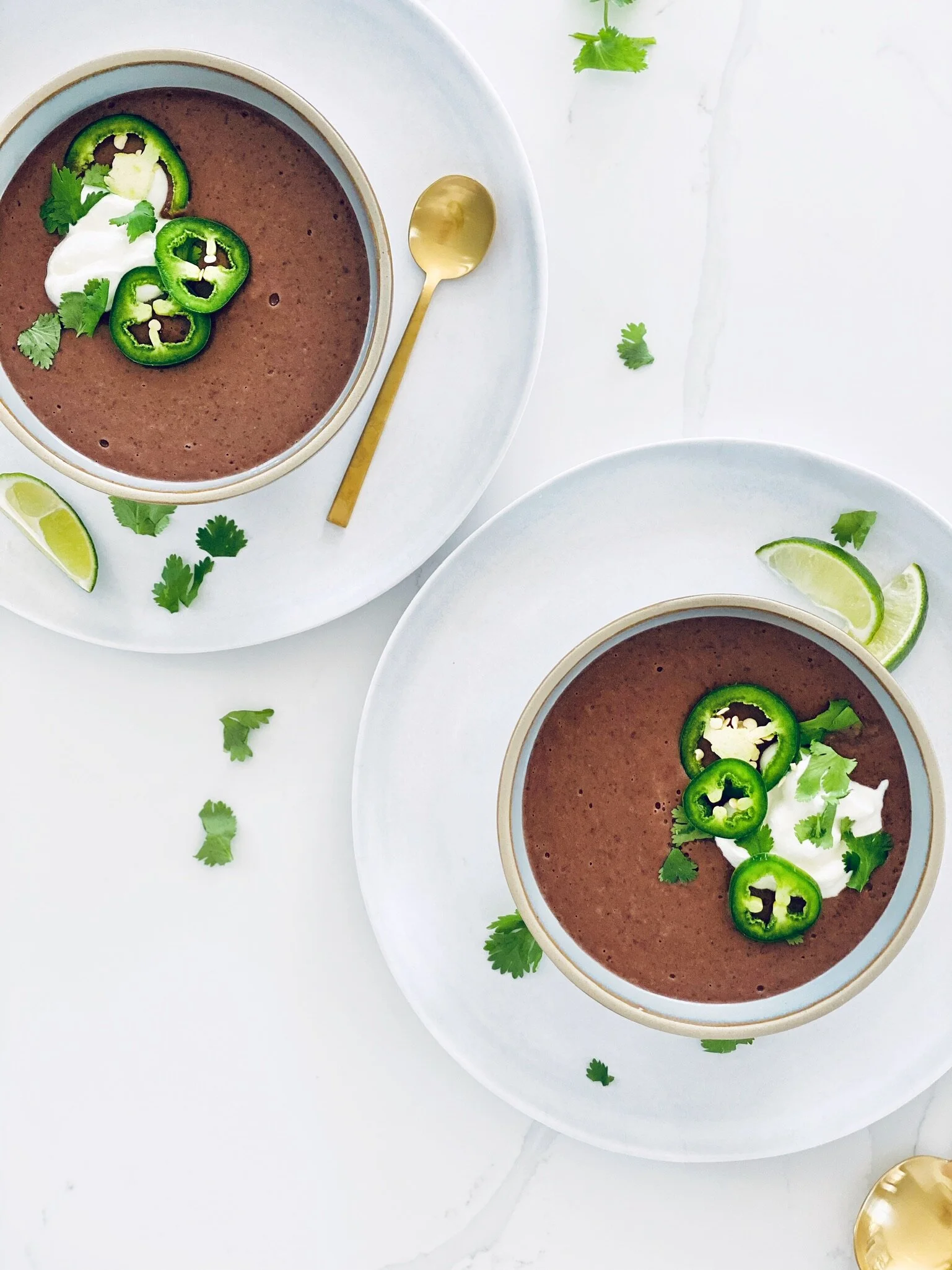 Black Bean Soup