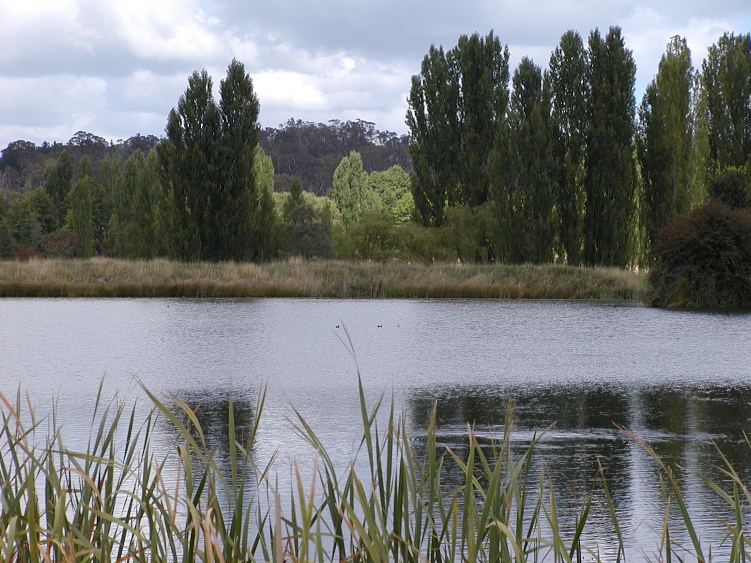 lakezot-Mar-2002.JPG