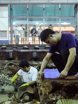Guangdong+Museum+-+archaeological+dig+on+Nanhai+No.+1.jpg