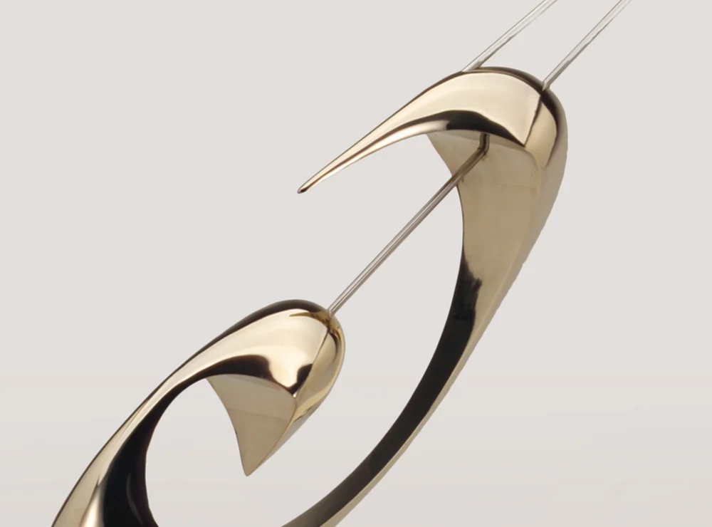 Aspiration Detail