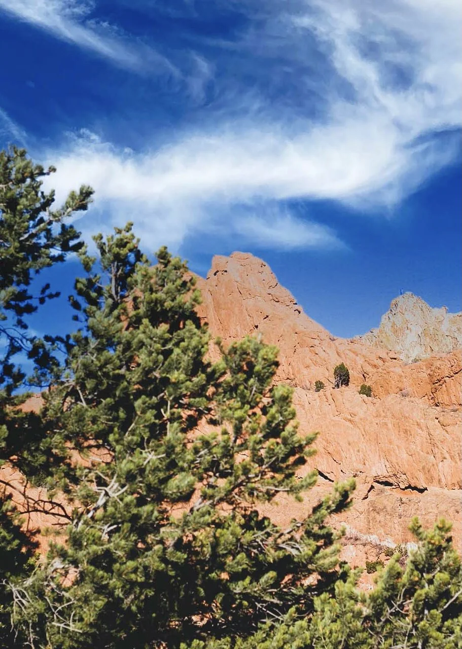 Image 12-13-20 at 11.58 PM.jpeg