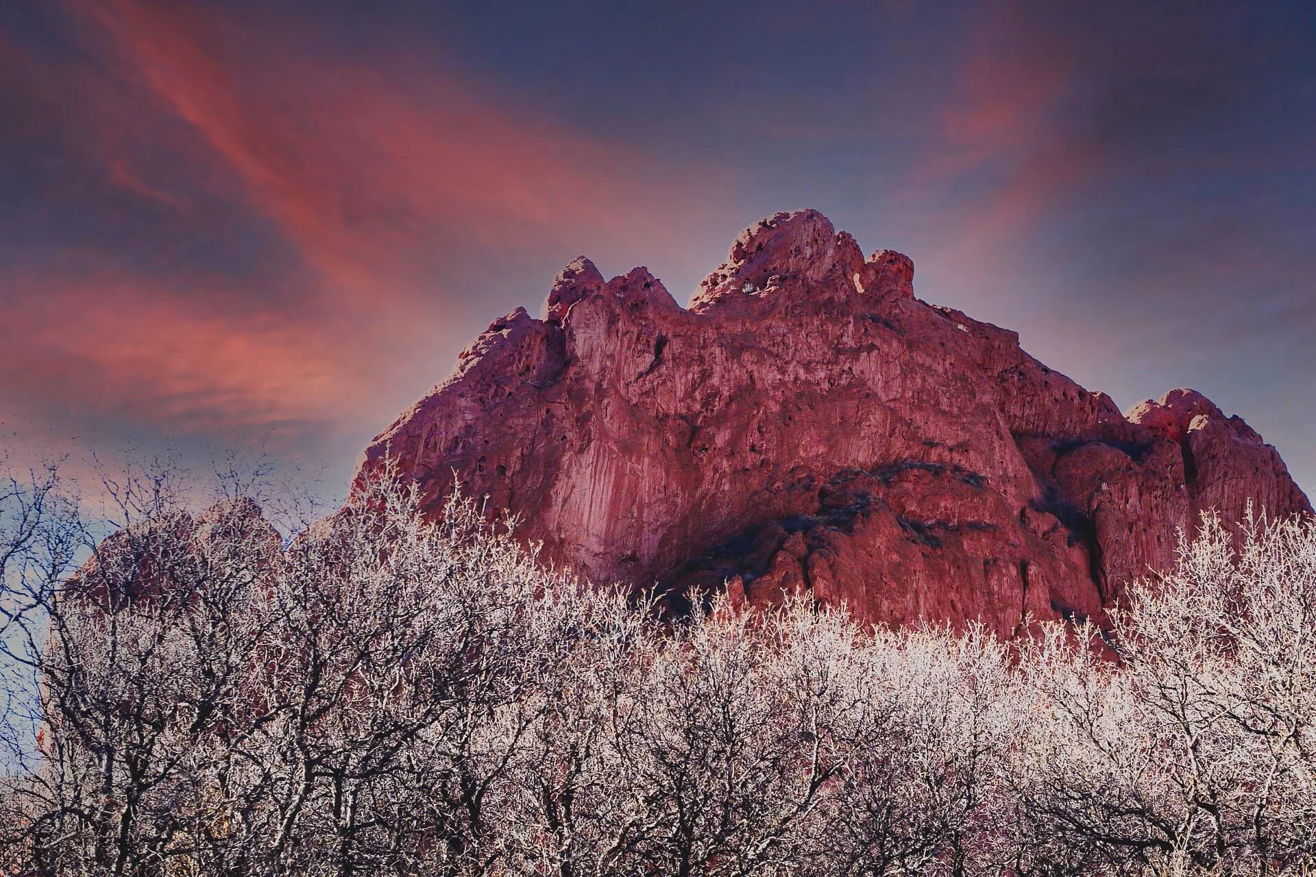 Image 12-20-20 at 11.19 PM.jpeg