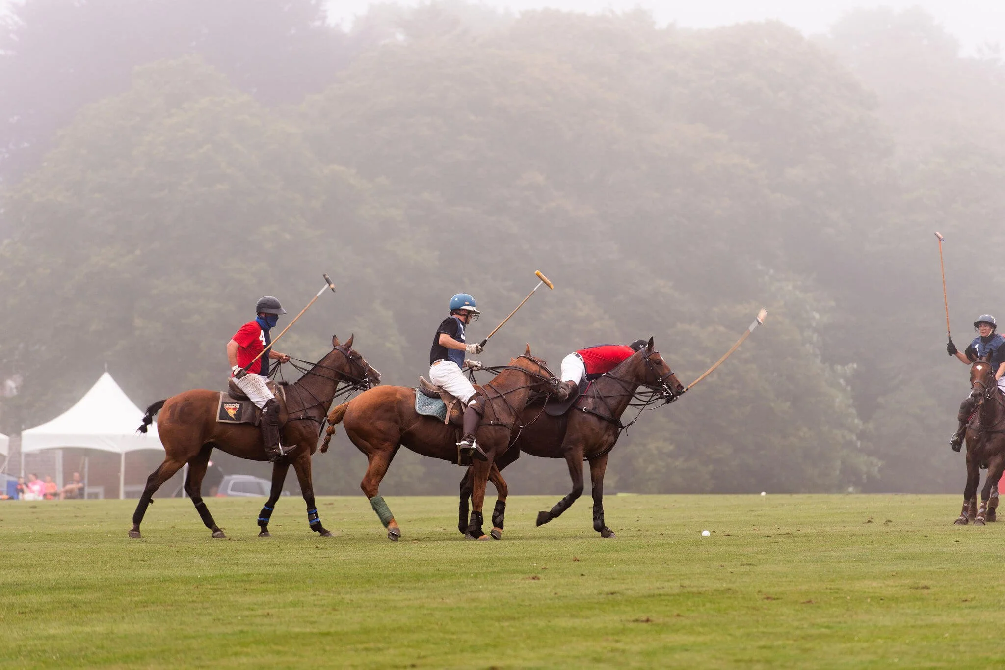 Polo127.jpg
