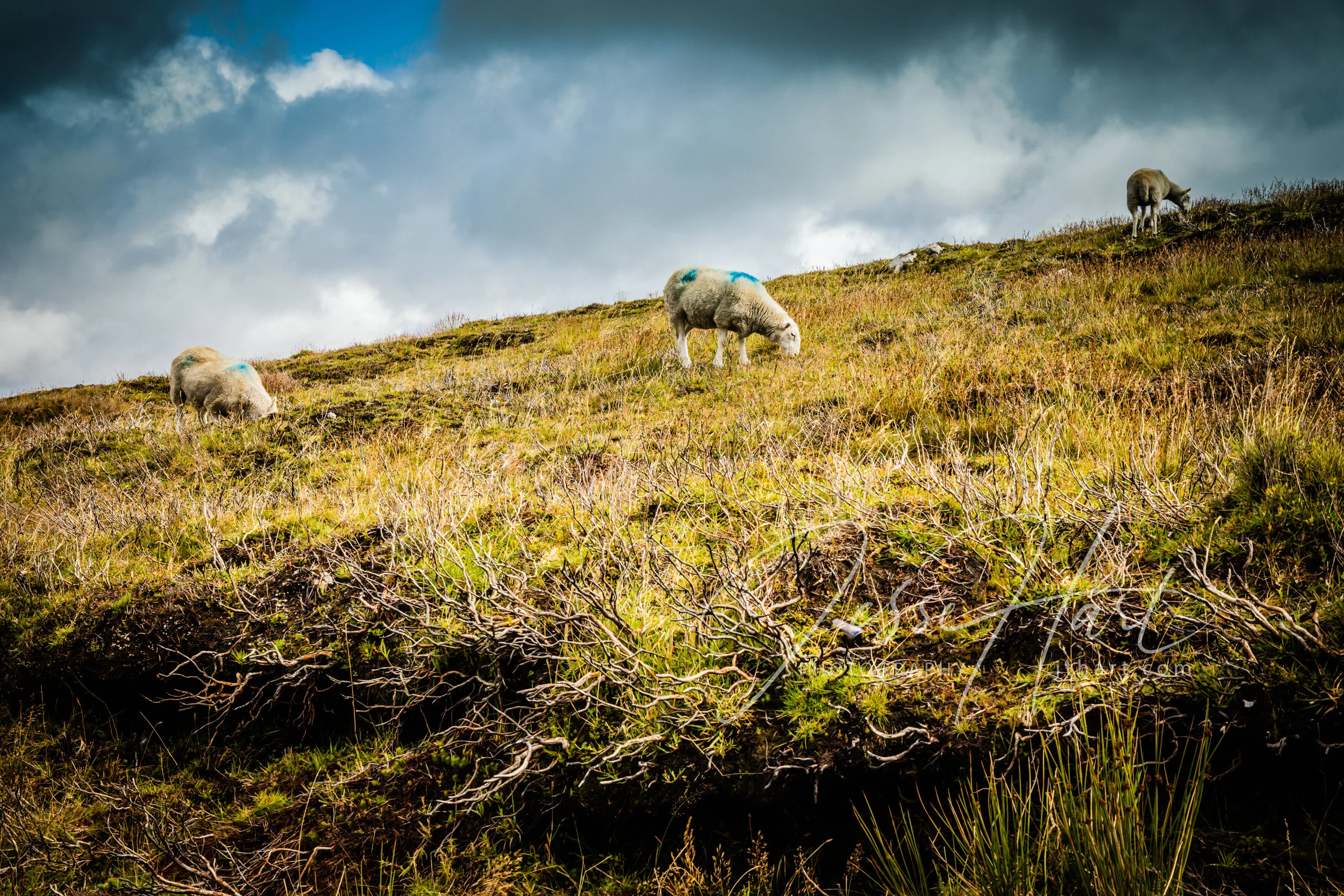 uk_eire_trip-3003.jpg