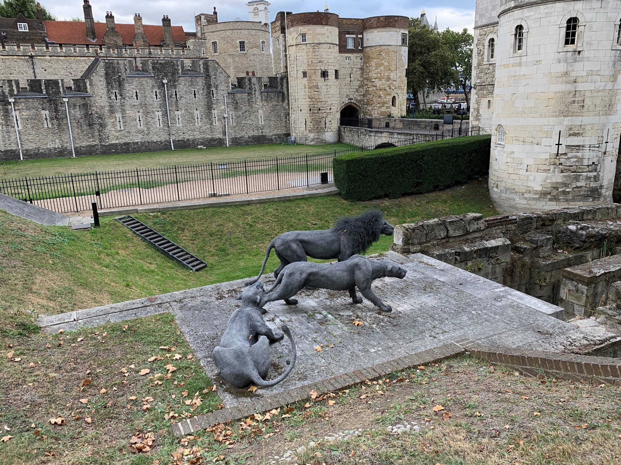 IMG_3845.jpeg