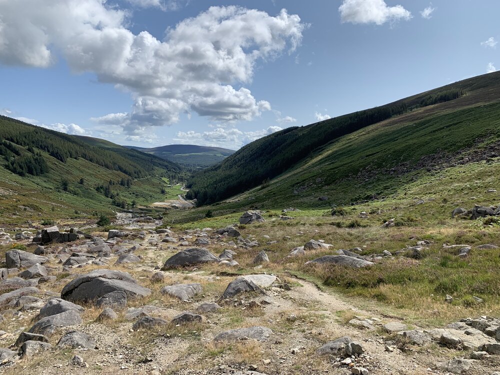 Wicklow Mountain Region