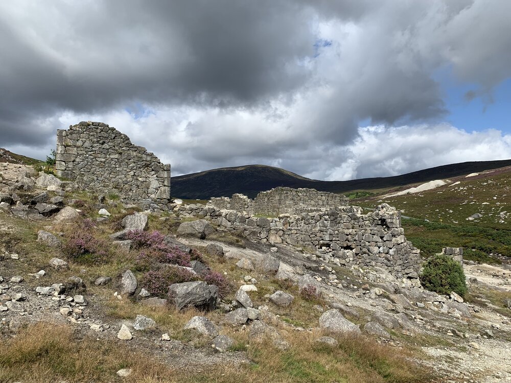 Wicklow Mountain Region