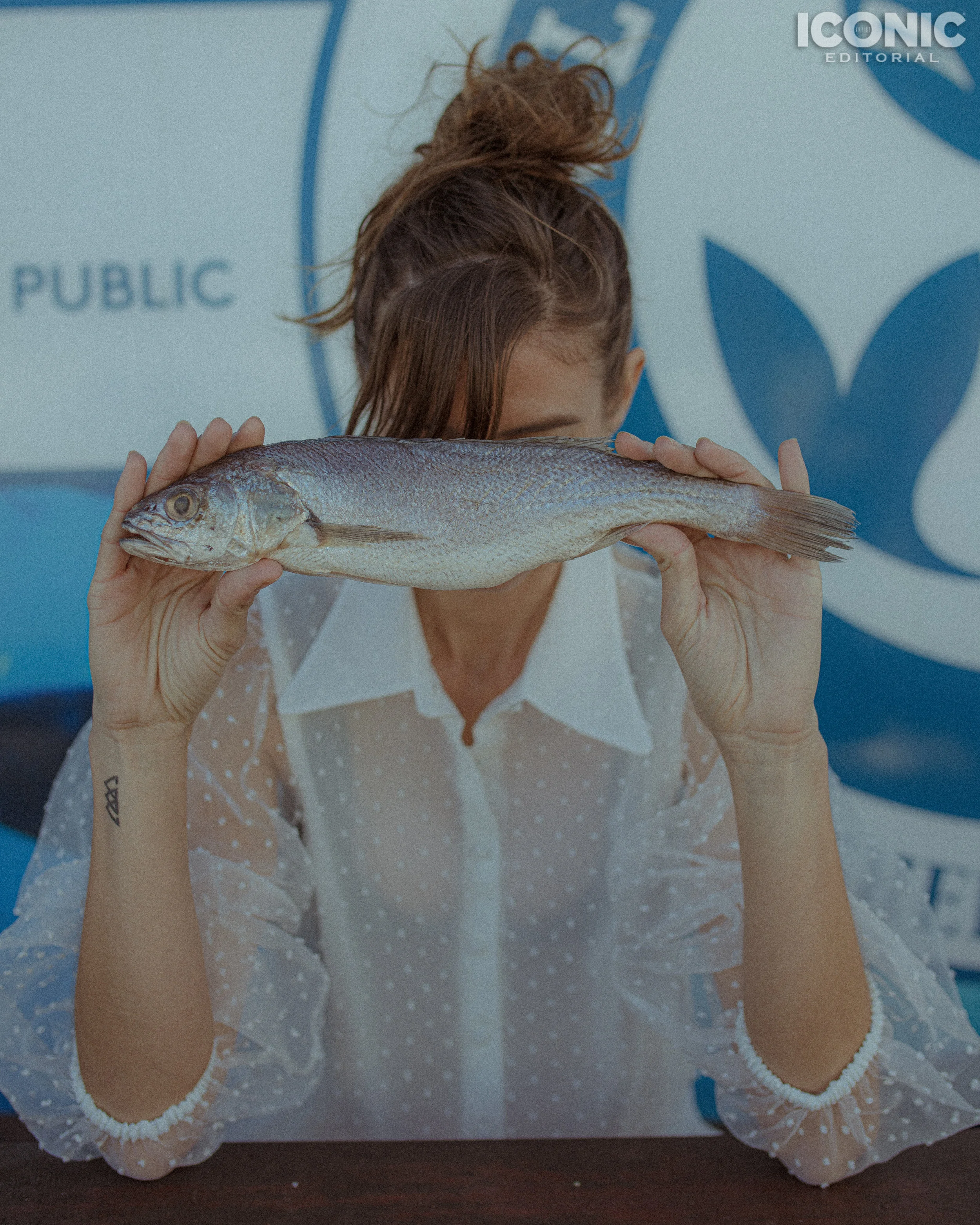 8/11 © Angelika Kollin