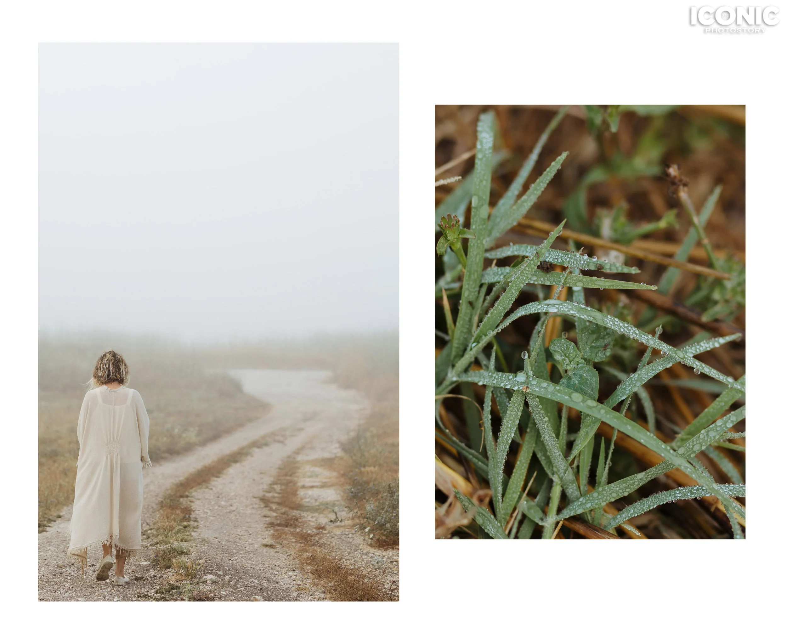 4/5 © Ofek Avshalom