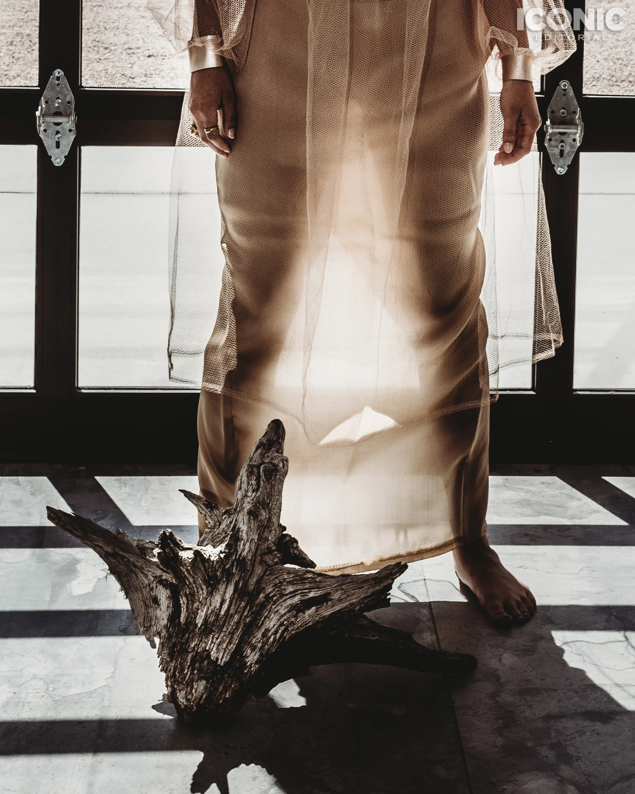 11/13 © Blaire Hawes