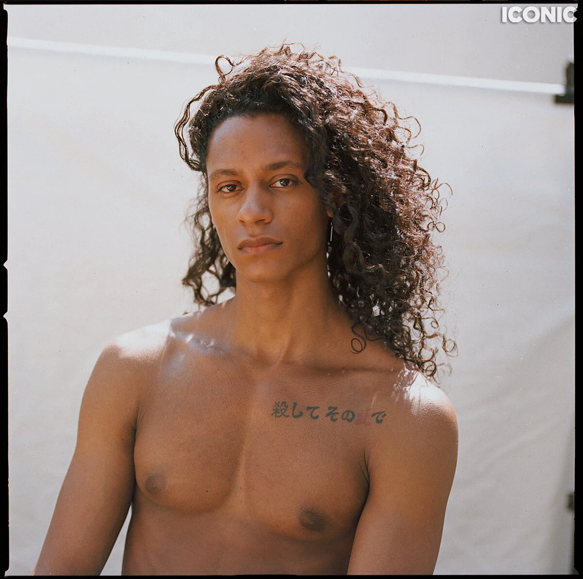 Archive — Iconic Artist