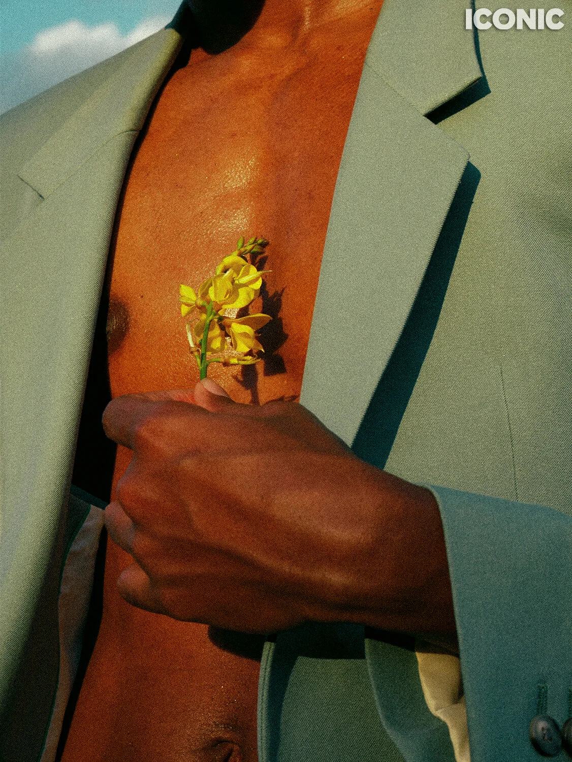 Wilted flower