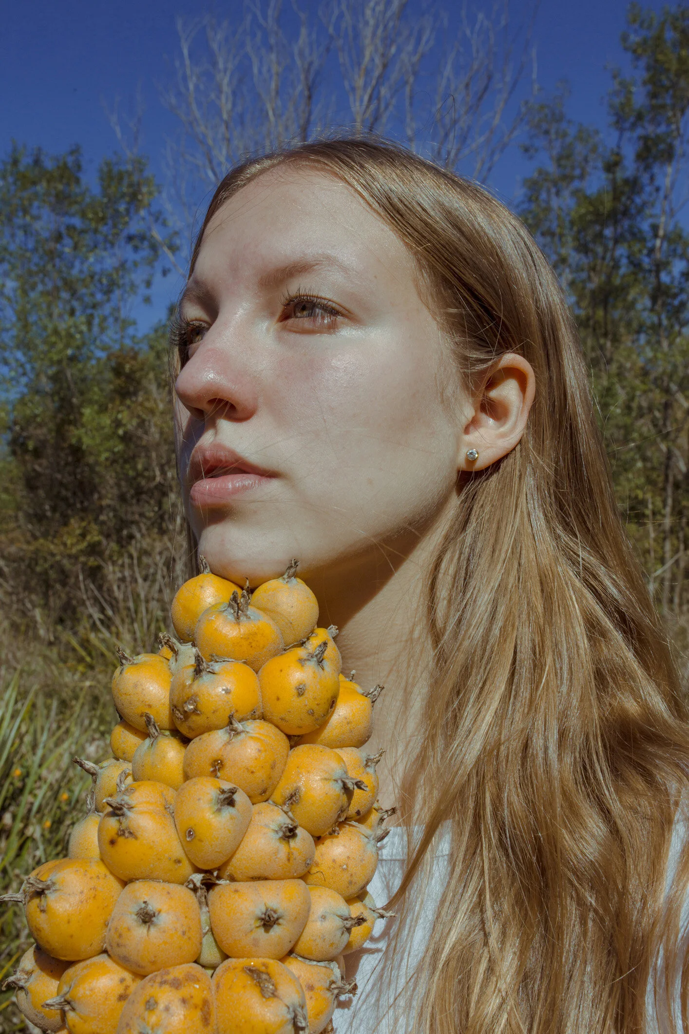 Winter Fruits