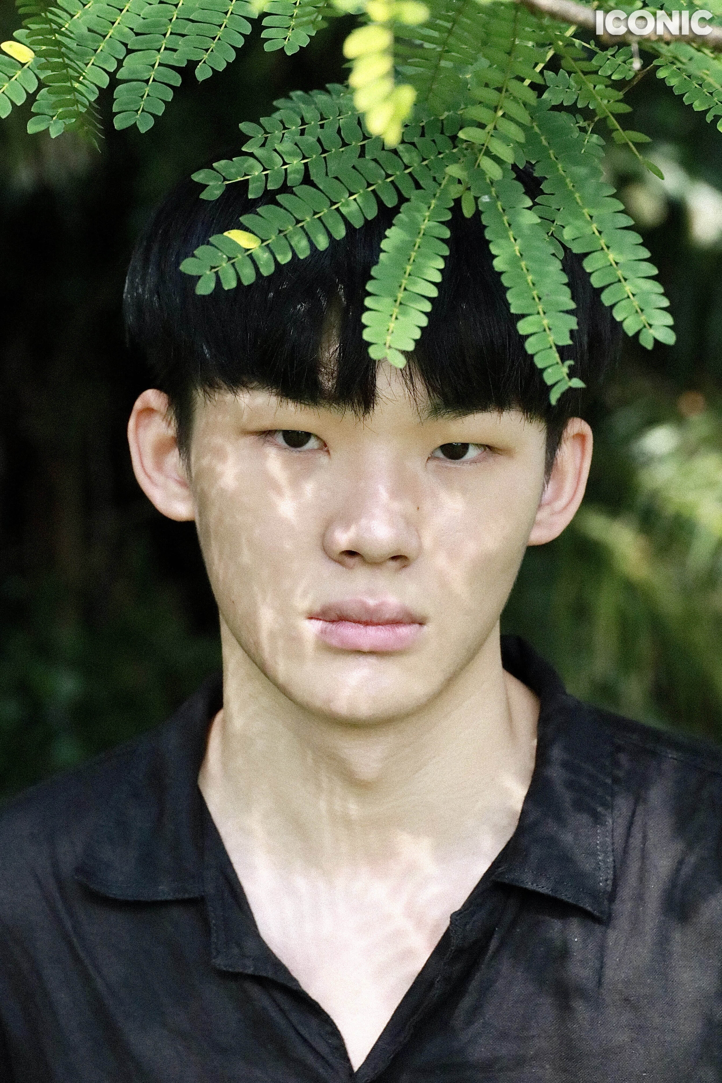 Huianni Wang