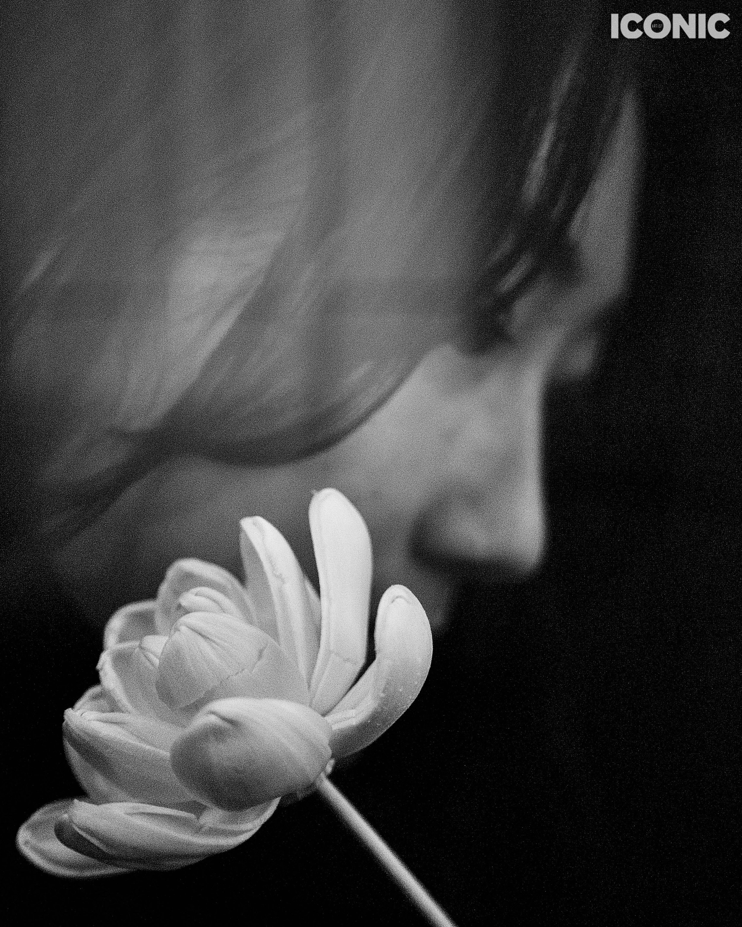 Kou Yamamoto