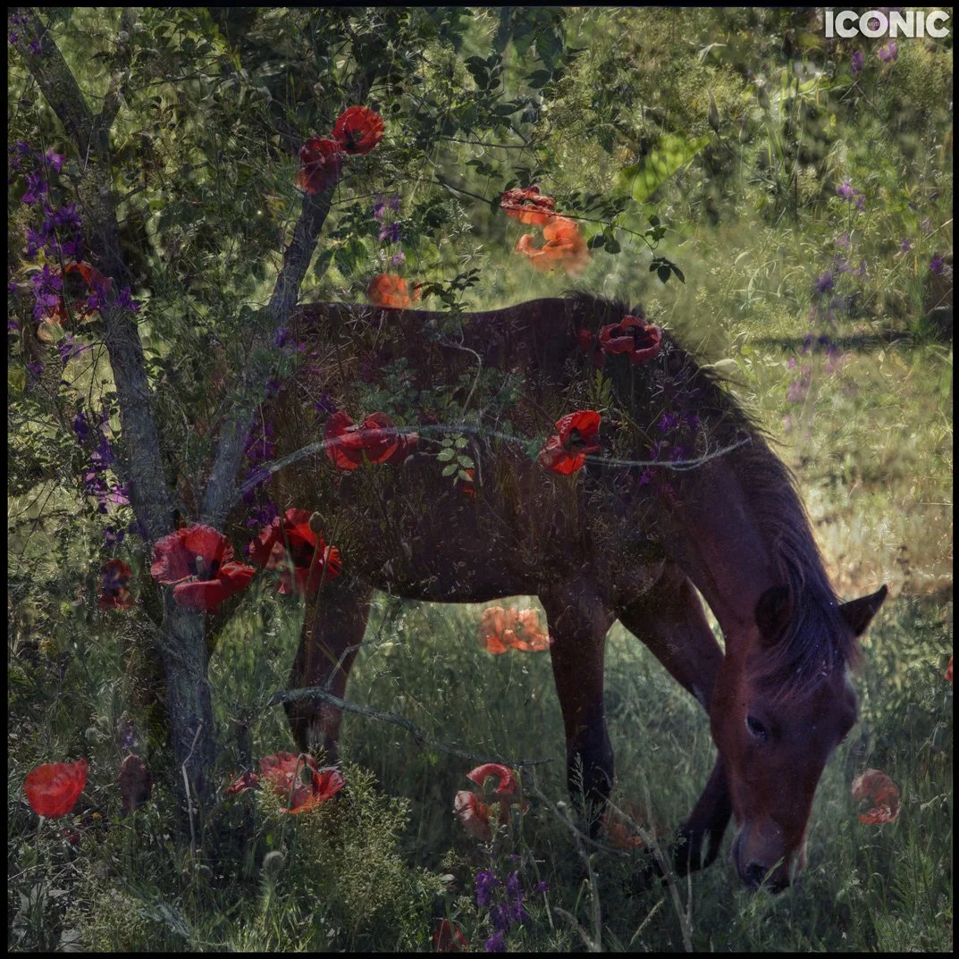 Nina Ai-Artyan