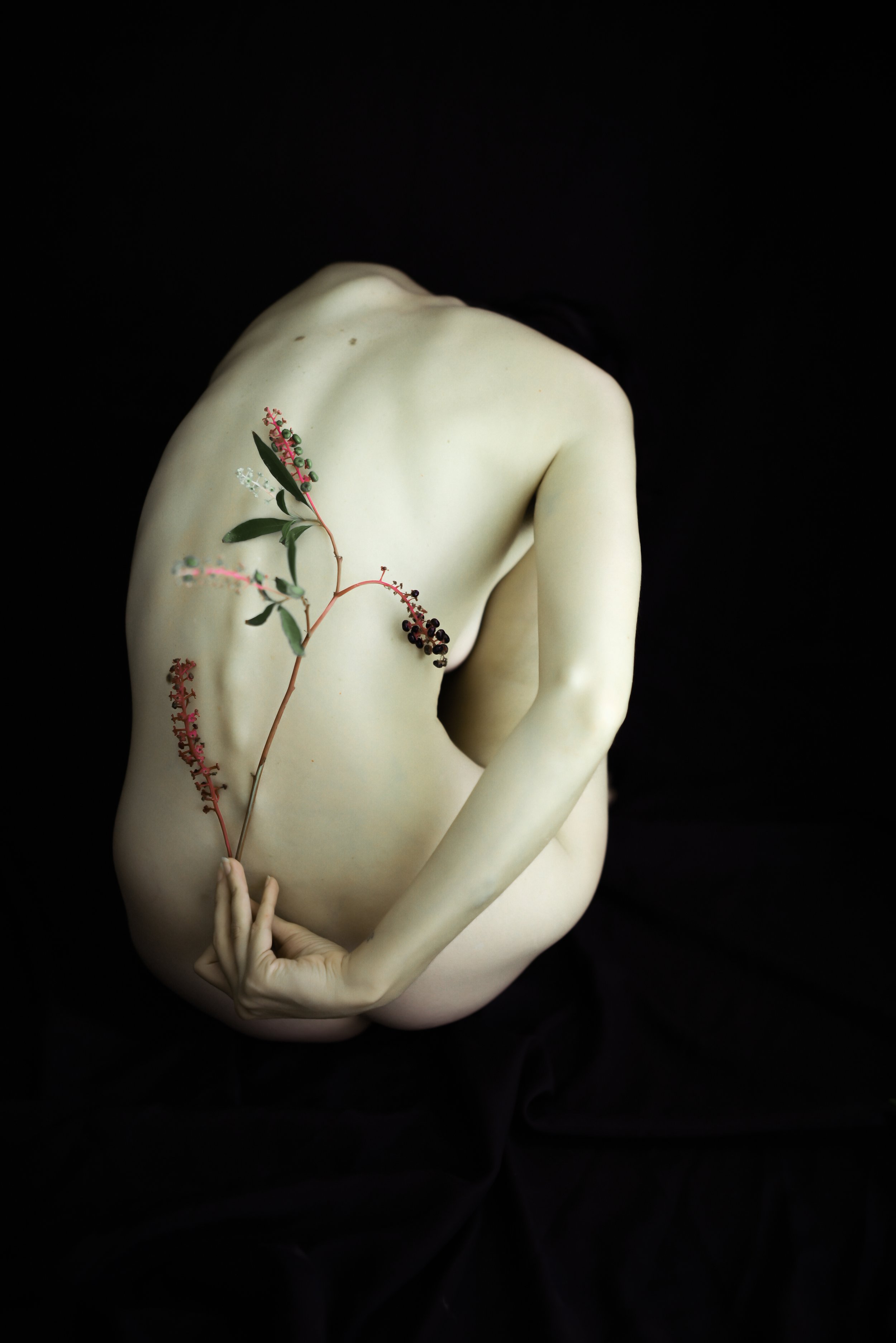 Editors' Pick 