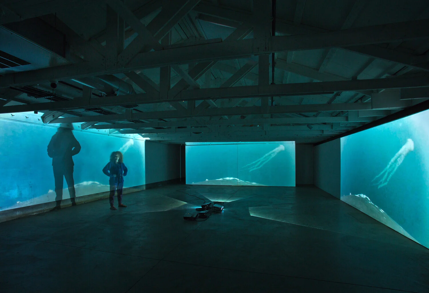 "From a Whale’s Back” Solo Exhibition, Radius Gallery, Santa Cruz, California