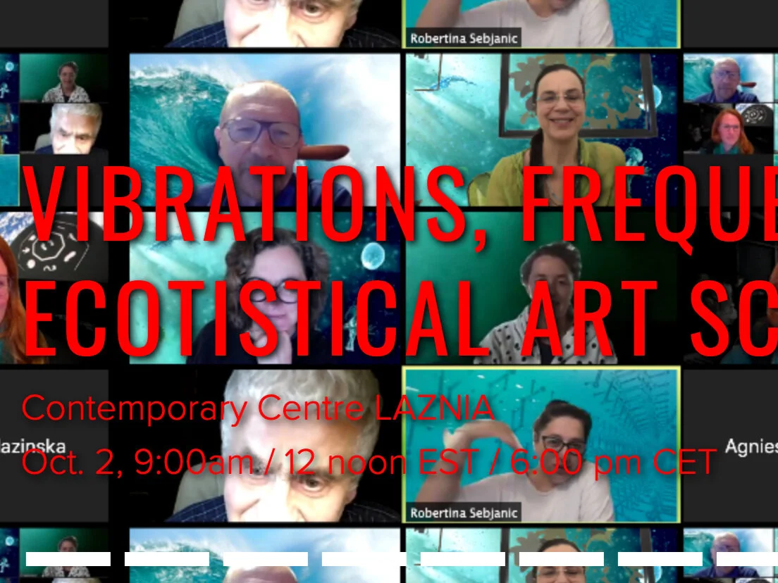 Artist talk, 'From a Whale's Back', Centre for Contemporary Art Laznia, Poland