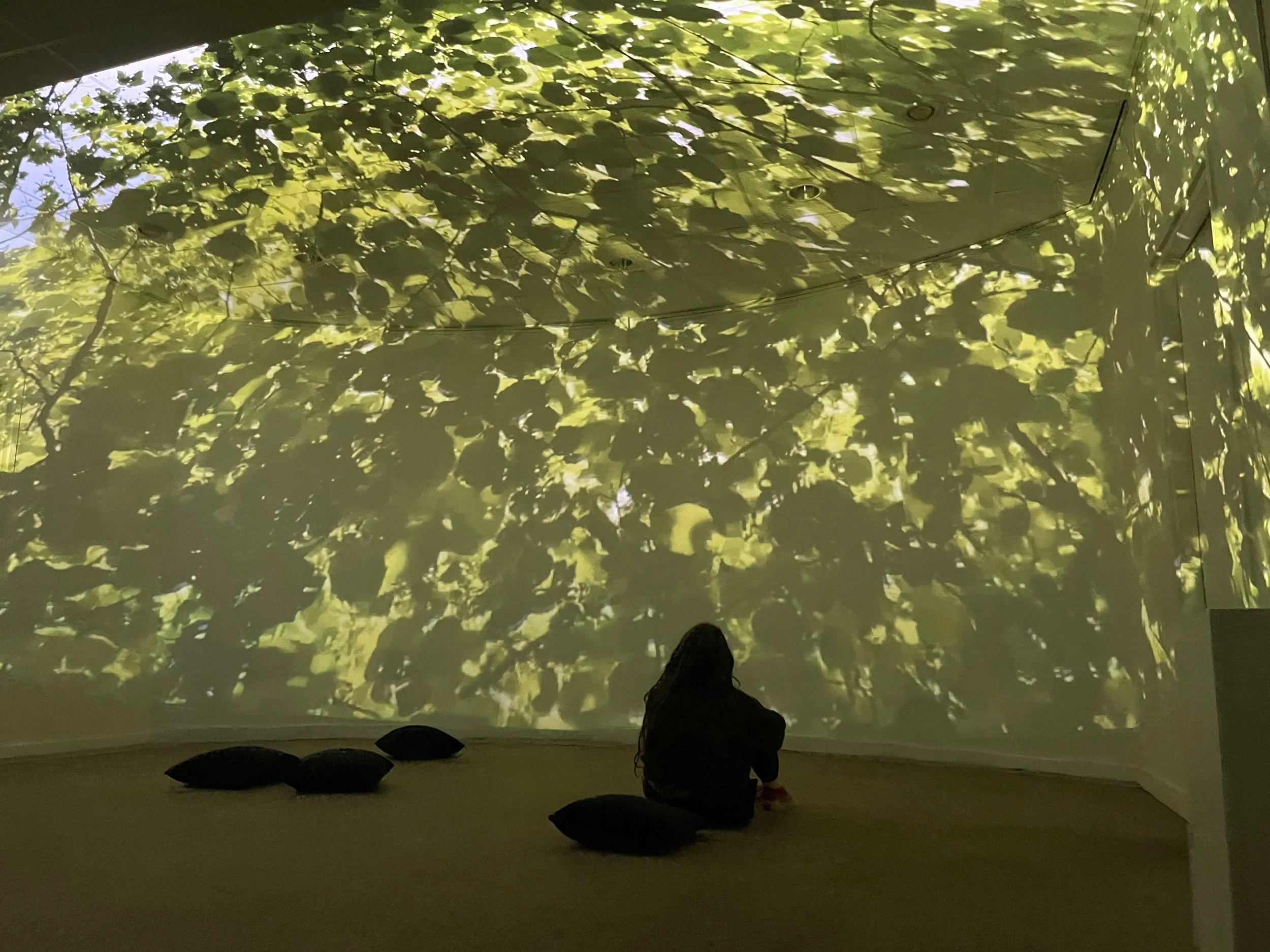 Vertigo and the Sound Portal